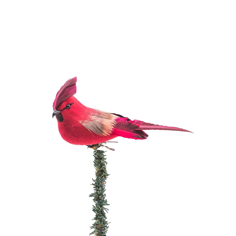 Hanging Red Foam Cardinal Ornament with Summer Coat, Pack of 12