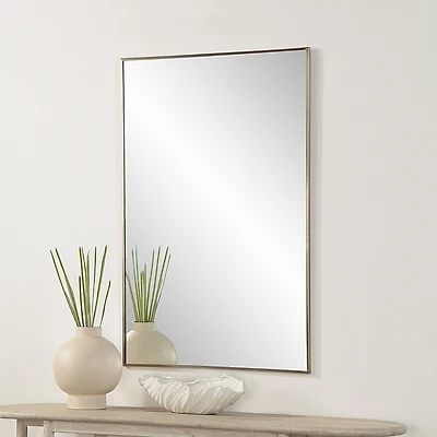 Cider 45" Tall Rectangular Mirror, Brushed Bronze