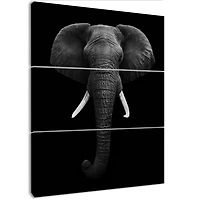 African Elephant Canvas Wall Art Panels