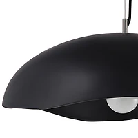 Filomena 22" Wide 1-Light Chandelier, Matte Black