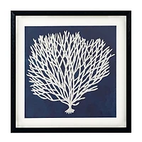 Sea Fan I Shadow Box