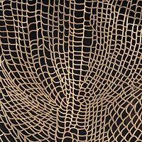 Boîte-cadre Laced Moon I