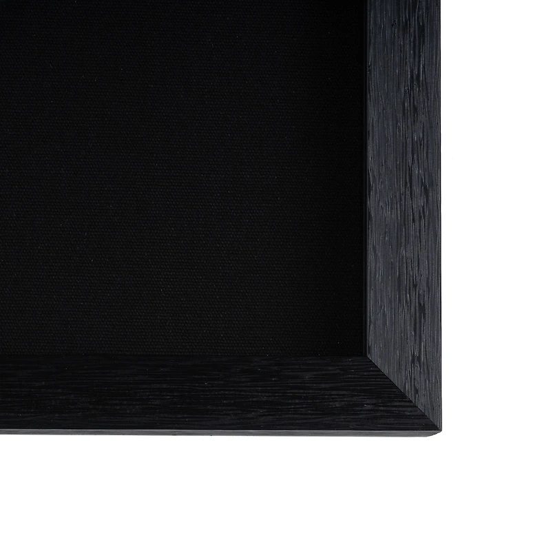 Soaring Silver Shadow Box