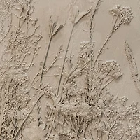 Enchanted Garden II Shadow Box