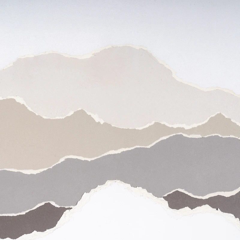 Torn Terrain II Shadow Box