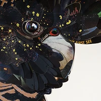 Boîte-cadre Mosaïque à plumes