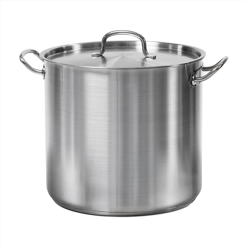 Pro-Line Stock Pot with Lid, 16 qt