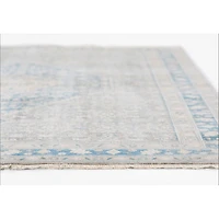 Lucia Traditional Area Rug - Blue