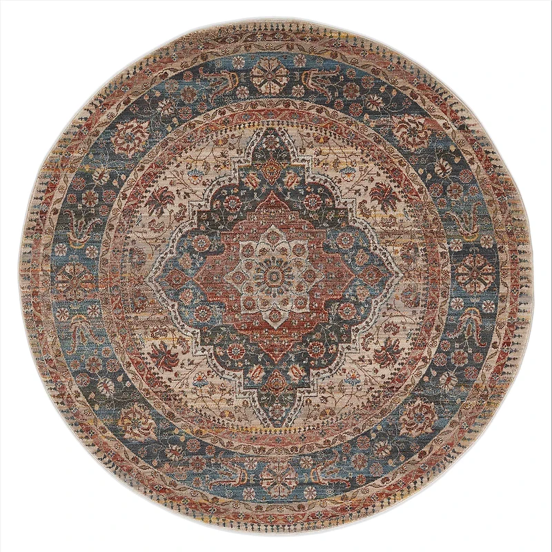 Irina Traditional Area Rug - Multi