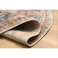 Irina Traditional Area Rug - Multi