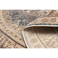 Gianna Traditional Area Rug - Blue