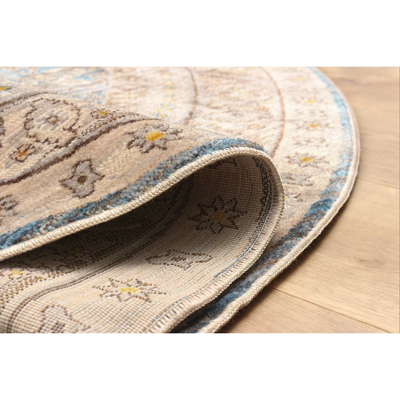 Gianna Traditional Area Rug - Blue