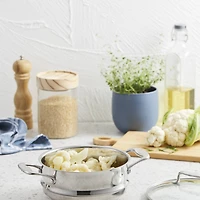 iconiX Steamer Insert with Lid 8"