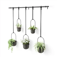 Triflora Hanging Planters, Set of 5