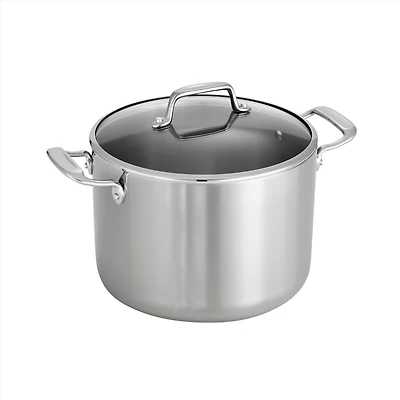 Stock Pot with Lid, 8 qt