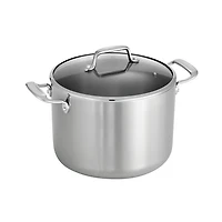 Stock Pot with Lid, 8 qt