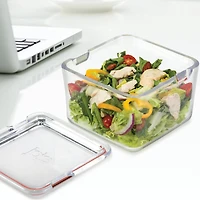 Boîte à lunch transparente - Terracotta