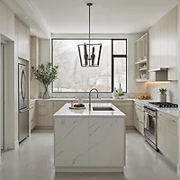 Toussaint Suspension