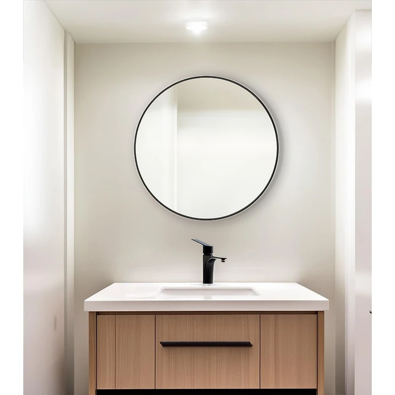 Cirque Medicine Cabinet