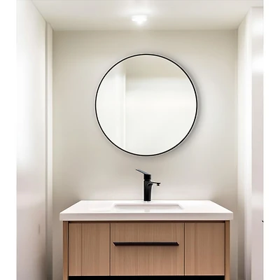 Cirque Medicine Cabinet