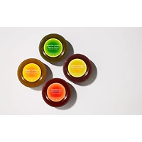 Bellowater Discovery Pack