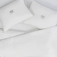 Oreiller 100% duvet blanc européen Royal Sovereign