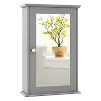 Bathroom Wall Cabinet with Single Mirror Door