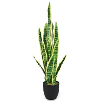 Artificial Snake Plant - 35.5"