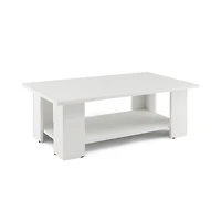 Large 41" 2-tier Wooden Modern Coffee Table, Storage Shelf