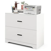2-Drawer Lateral File Cabinet