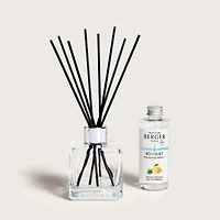 Ice Cube Scented Bouquet + 100ml Refill by Maison Berger Paris - Zest of Verbena