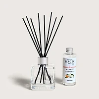 Ice Cube Scented Bouquet + 100ml Refill by Maison Berger Paris - Lady flower