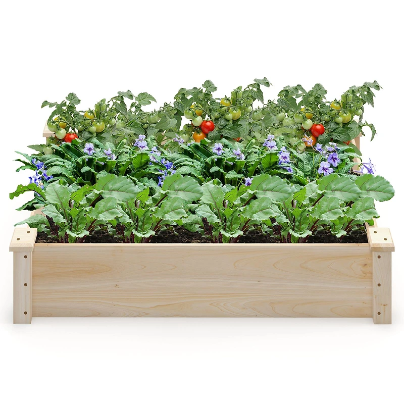 Jardinière surélevée en bois de sapin, carrée, pour le jardin