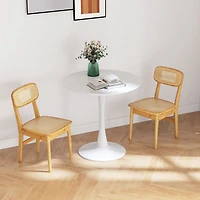 Set of 2 Rattan Dining Chairs, Simulated Rattan Backrest - Natural