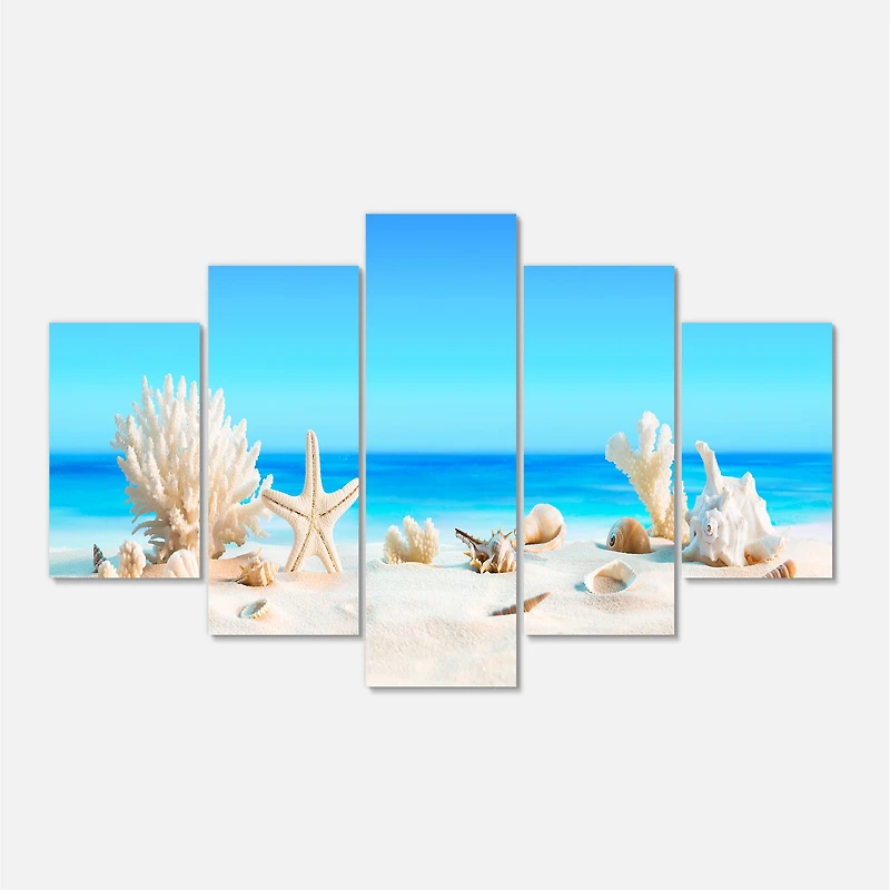 Seashells on Tropical  Canvas Wall Art