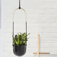 Bolo Planter - Black