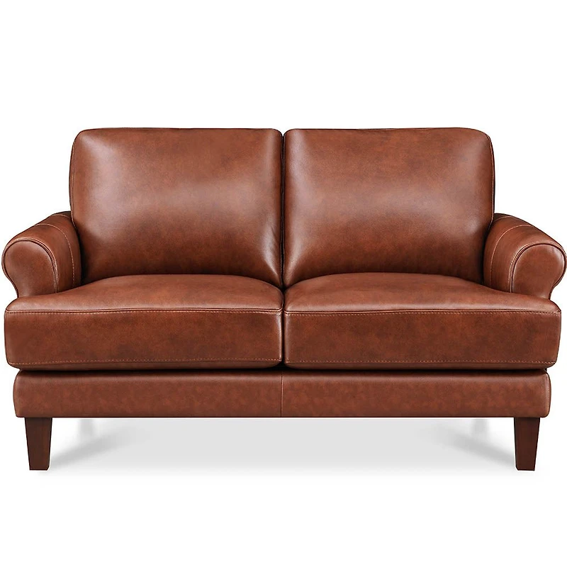 Dawn Leather Loveseat