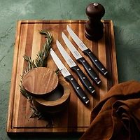 iconiX Steak Knife, Set of 4