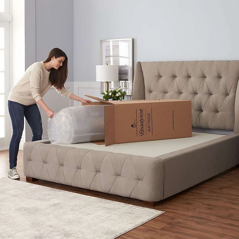 Matelas en boîte Beautyrest « Miab » - 12 po