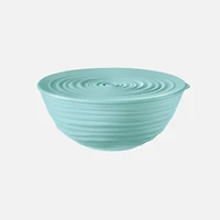 Sage Green Tierra Bowl with Lid ( cm