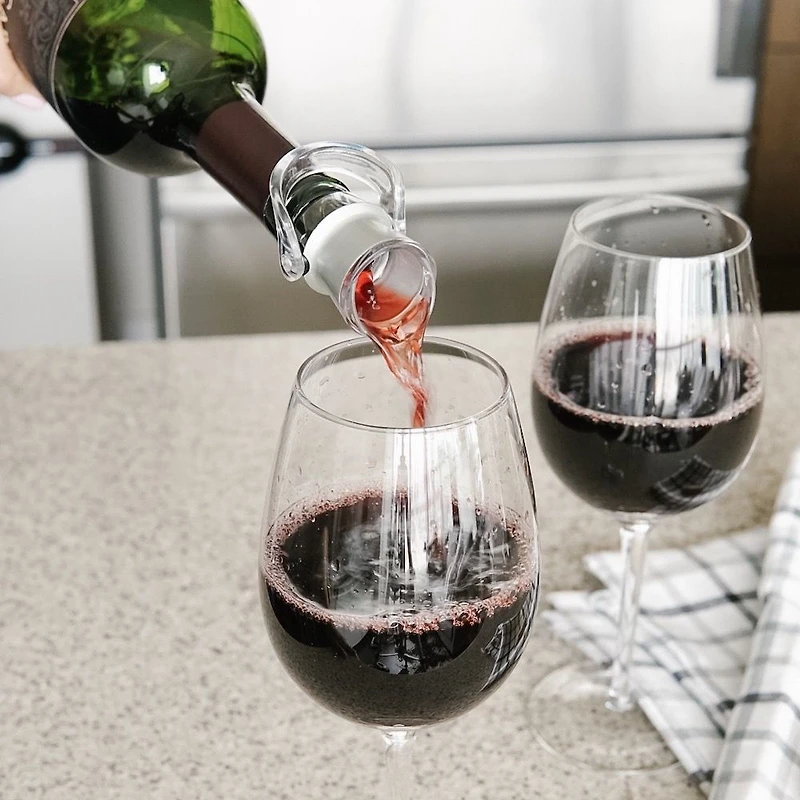 Trudeau Origin Bottle Pourer and Stopper