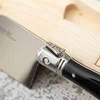 Laguiole Du Monde Affordable Black Cheese Set