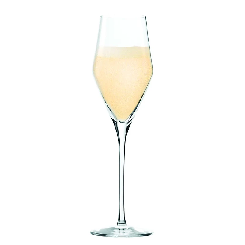 Elegant Flûtes à champagne, ensemble de 6 - 9,25 oz