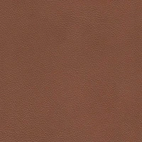 Arvo Leather Chair