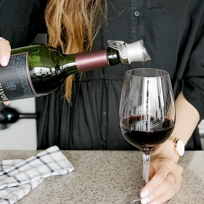 Trudeau Origin Bottle Pourer and Stopper