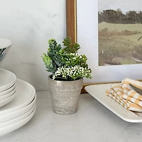 Petite verdure mixte avec bourgeons blancs dans un pot de 6 po
