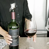 Trudeau Origin Bottle Pourer and Stopper