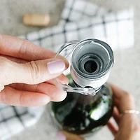 Trudeau Origin Bottle Pourer and Stopper