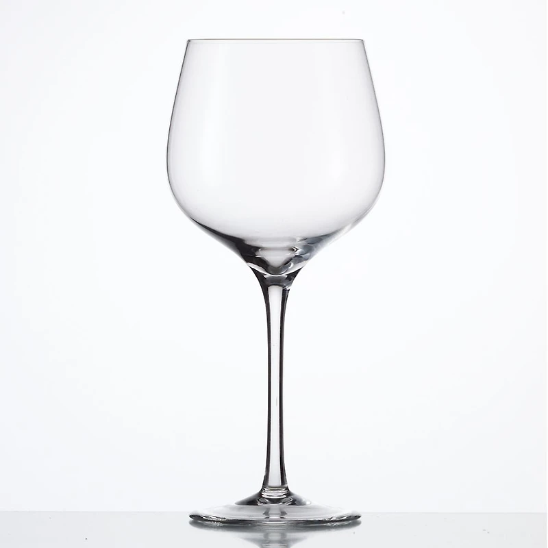 Set of 6 SensisPlus Grand Burgundy Glasses by Eisch