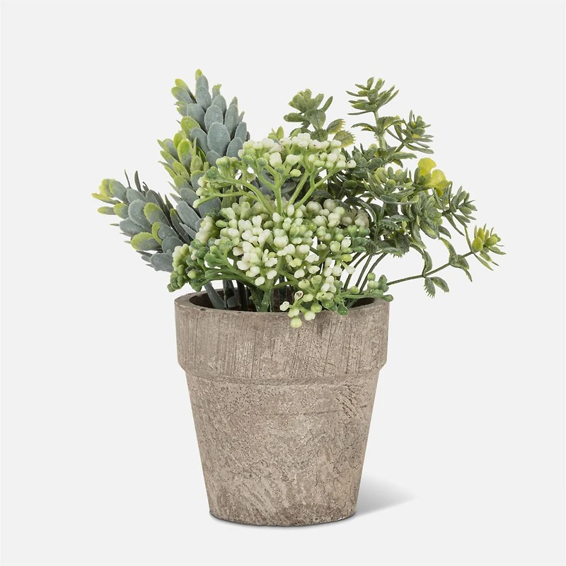 Small Mixed Greenery with White Buds in 6" Pot